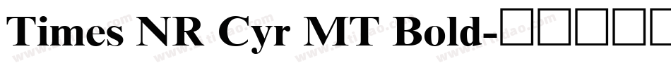Times NR Cyr MT Bold字体转换